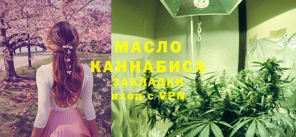 дживик Арсеньев