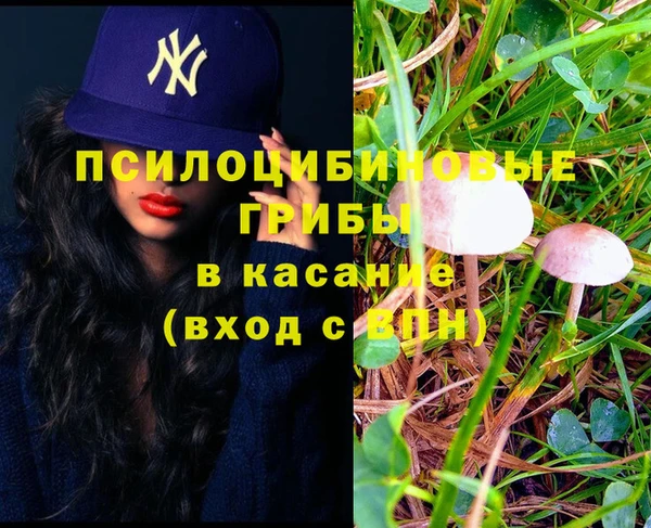 дживик Арсеньев
