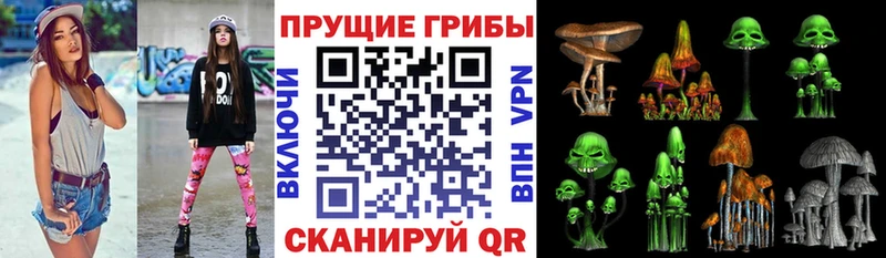 это телеграм  Весьегонск  Галлюциногенные грибы Psilocybine cubensis 
